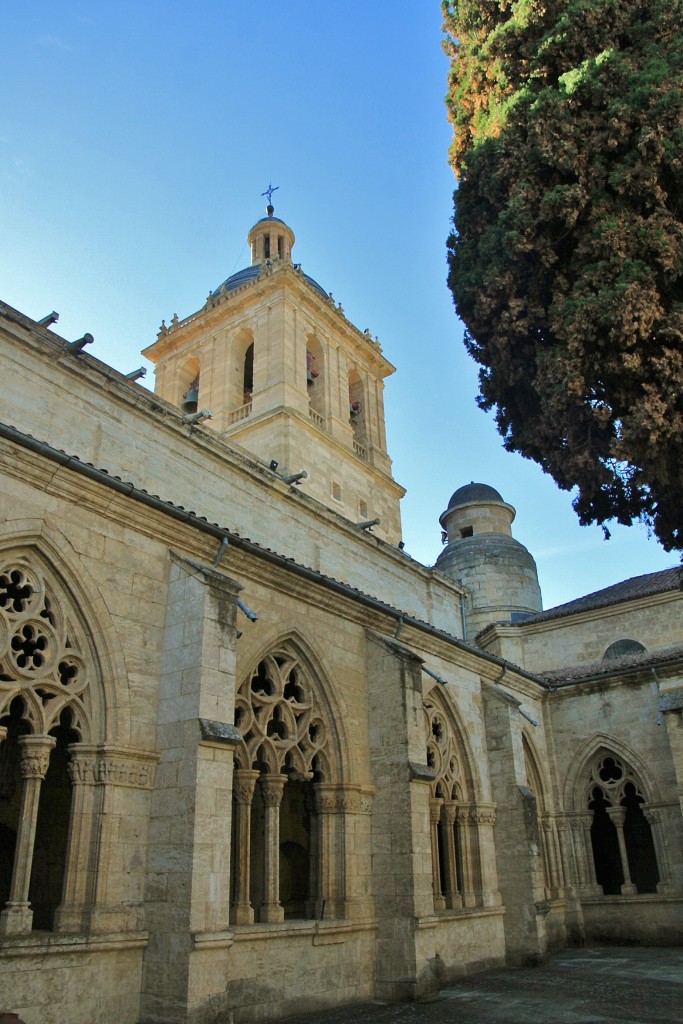 Foto: Claustro de la catedral - Ciudad Rodrigo (Salamanca), España