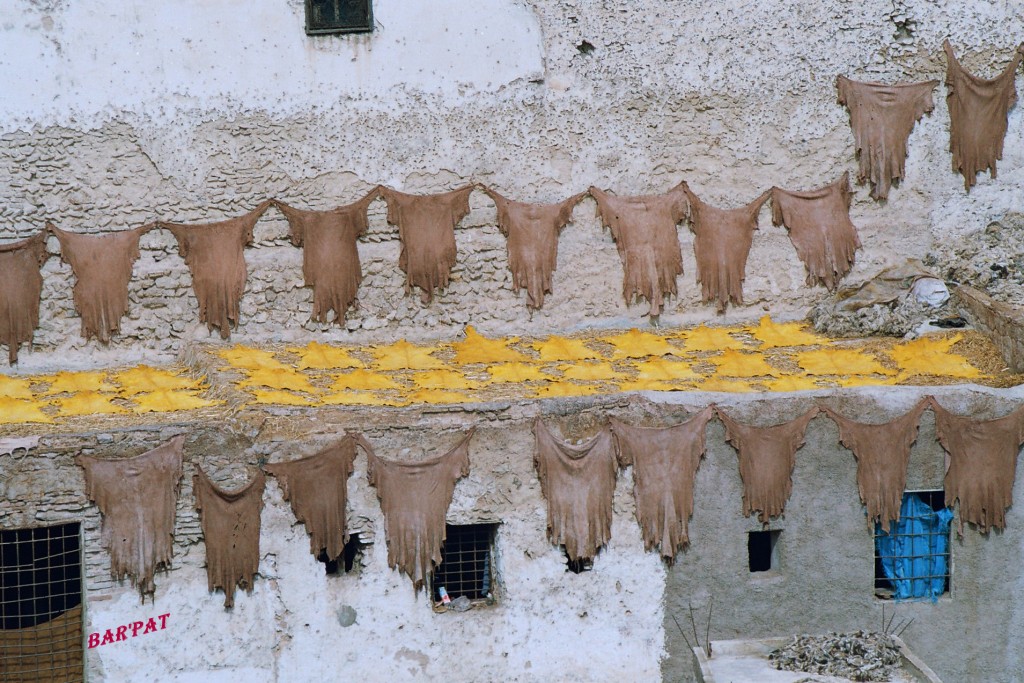 Foto de Fez (Fès-Boulemane), Marruecos