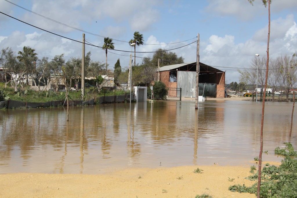 Foto de Jerez de la Frontera (Cádiz), España