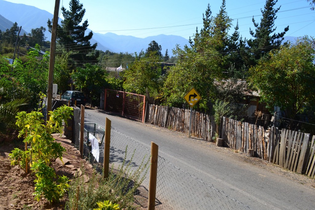 Foto de Coltauco (Libertador General Bernardo OʼHiggins), Chile