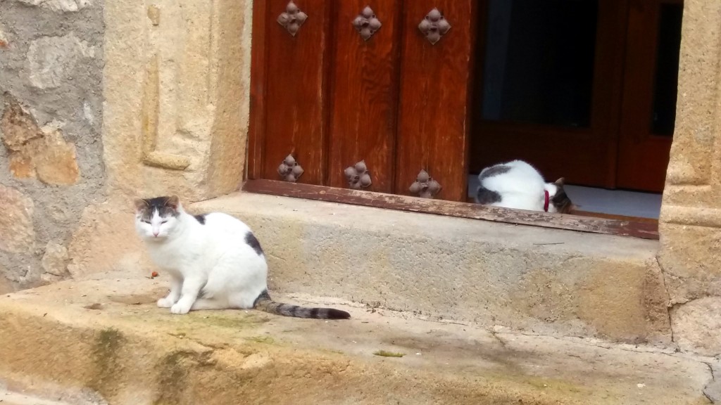 Foto de Trujillo (Cáceres), España