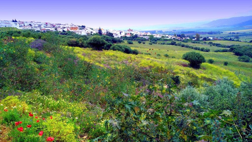 Foto de Benalup de Sidonia (Cádiz), España