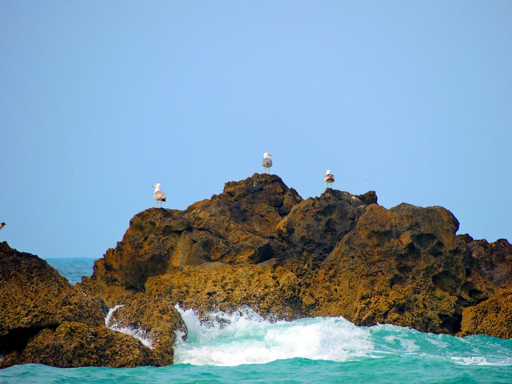 Foto de Conil de la Frontera (Cádiz), España