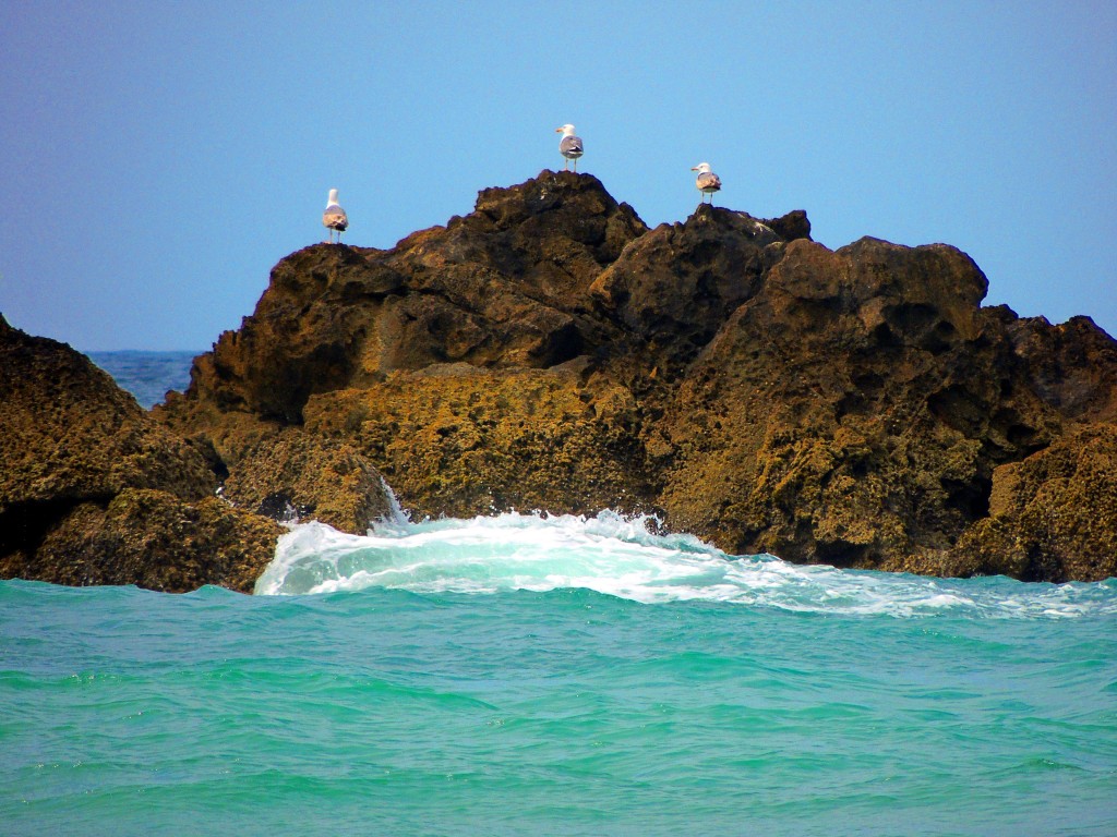 Foto de Conil de la Frontera (Cádiz), España