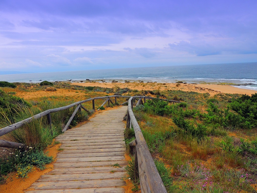 Foto de Los Caños de Meca (Cádiz), España