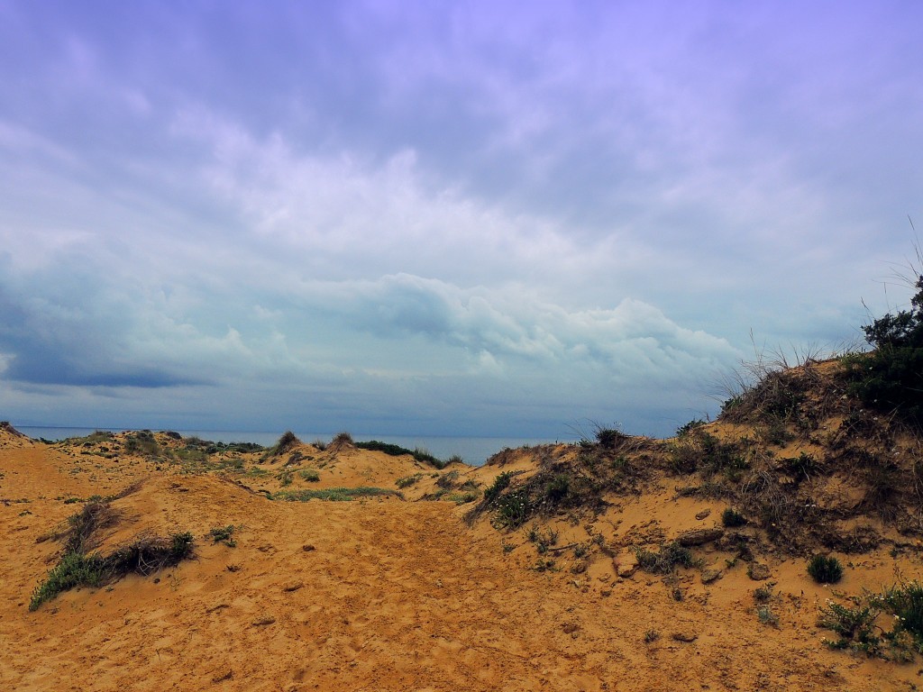 Foto de Los Caños de Meca (Cádiz), España