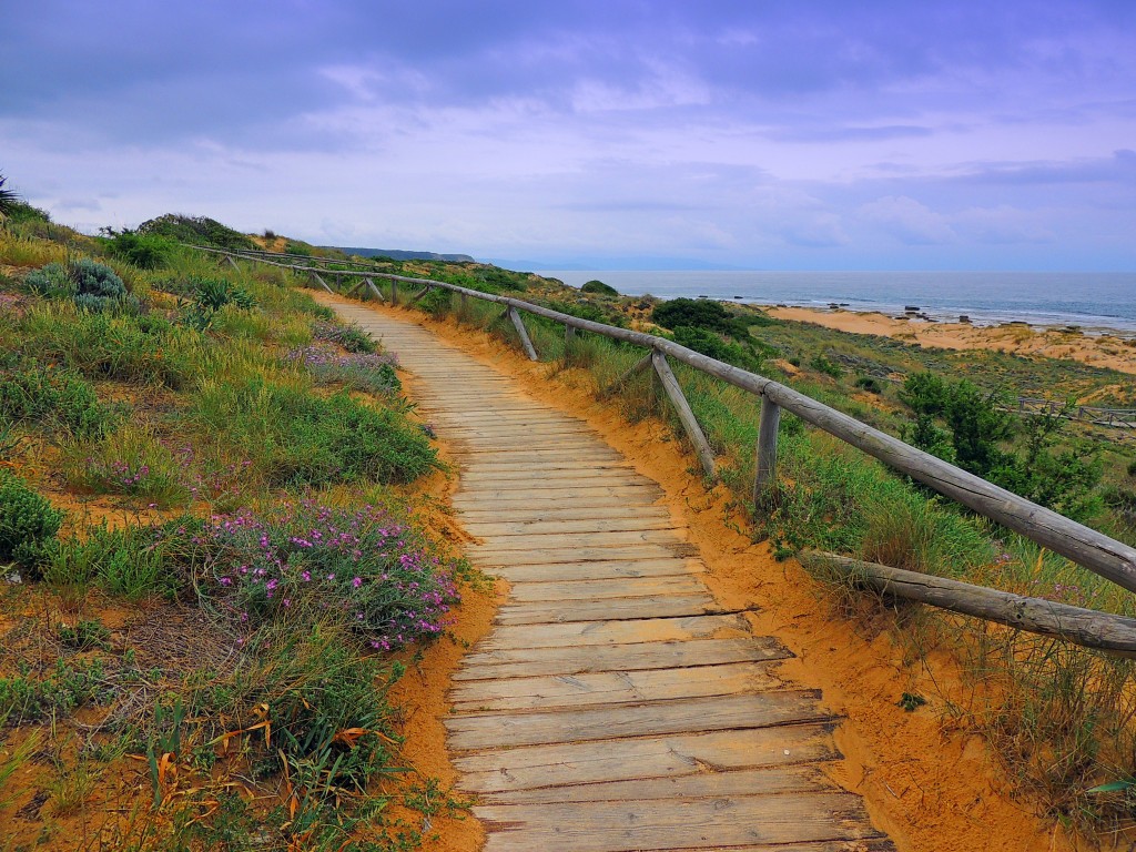 Foto de Los Caños de Meca (Cádiz), España