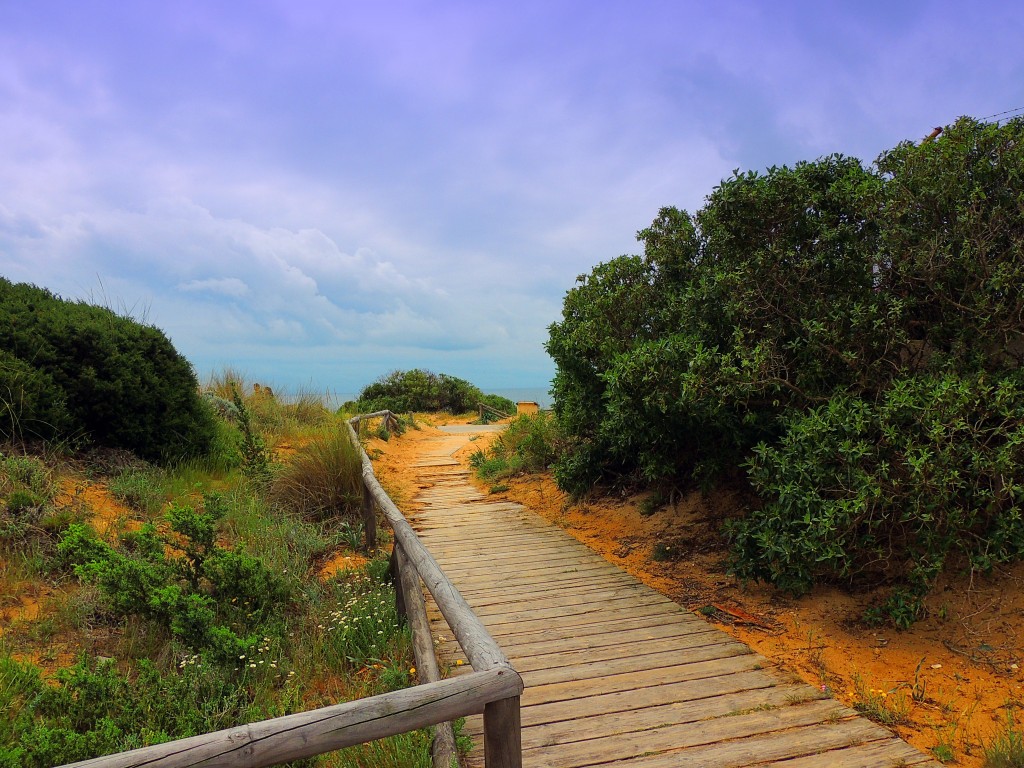 Foto de Los Caños de Meca (Cádiz), España