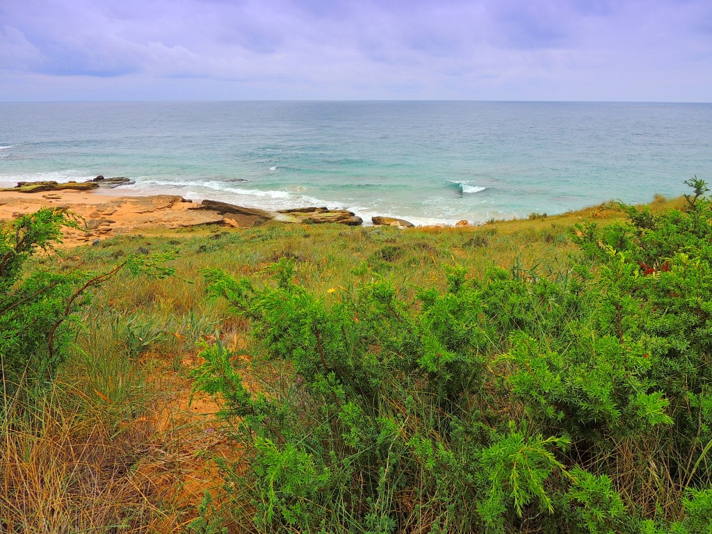 Foto de Los Caños de Meca (Cádiz), España