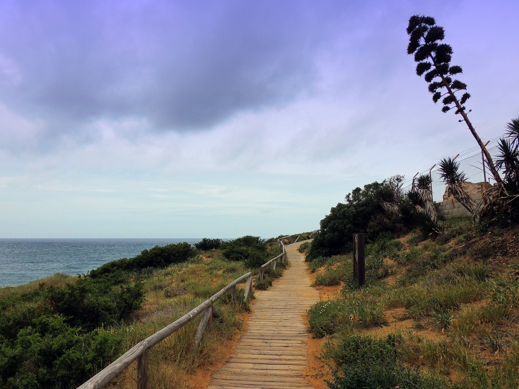 Foto de Los Caños de Meca (Cádiz), España