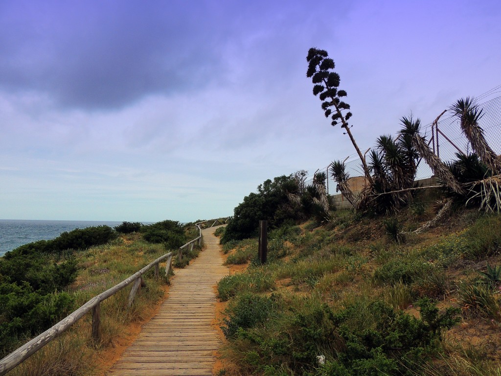 Foto de Los Caños de Meca (Cádiz), España