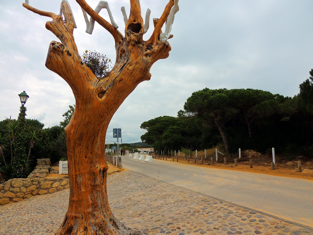 Foto de Los Caños de Meca (Cádiz), España