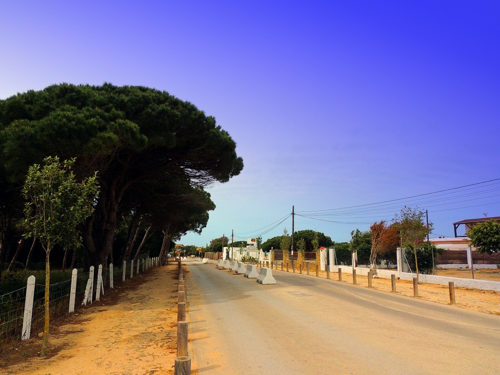 Foto de Los Caños de Meca (Cádiz), España