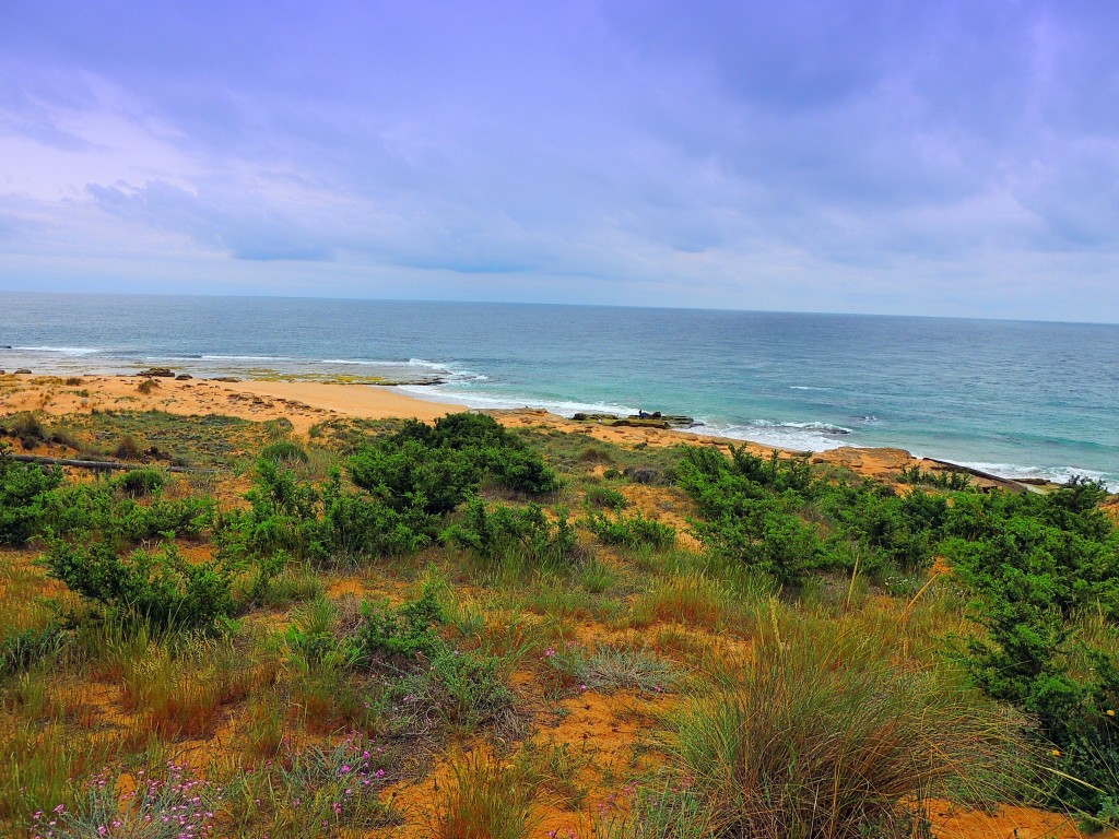 Foto de Los Caños de Meca (Cádiz), España