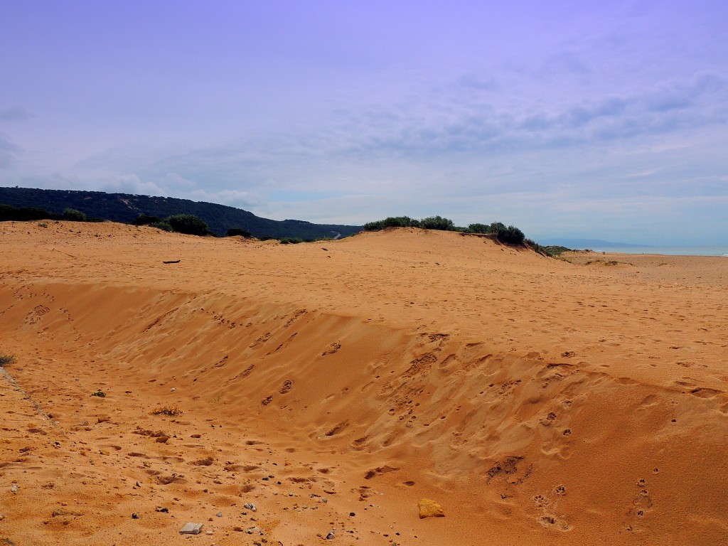 Foto de Los Caños de Meca (Cádiz), España