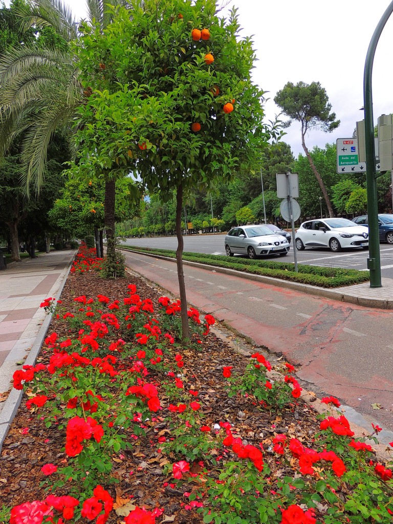 Foto de Córdoba (Andalucía), España