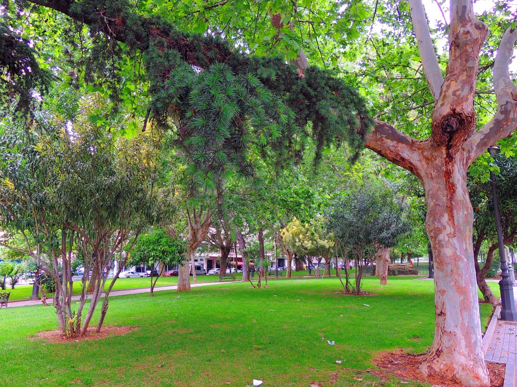 Foto de Córdoba (Andalucía), España