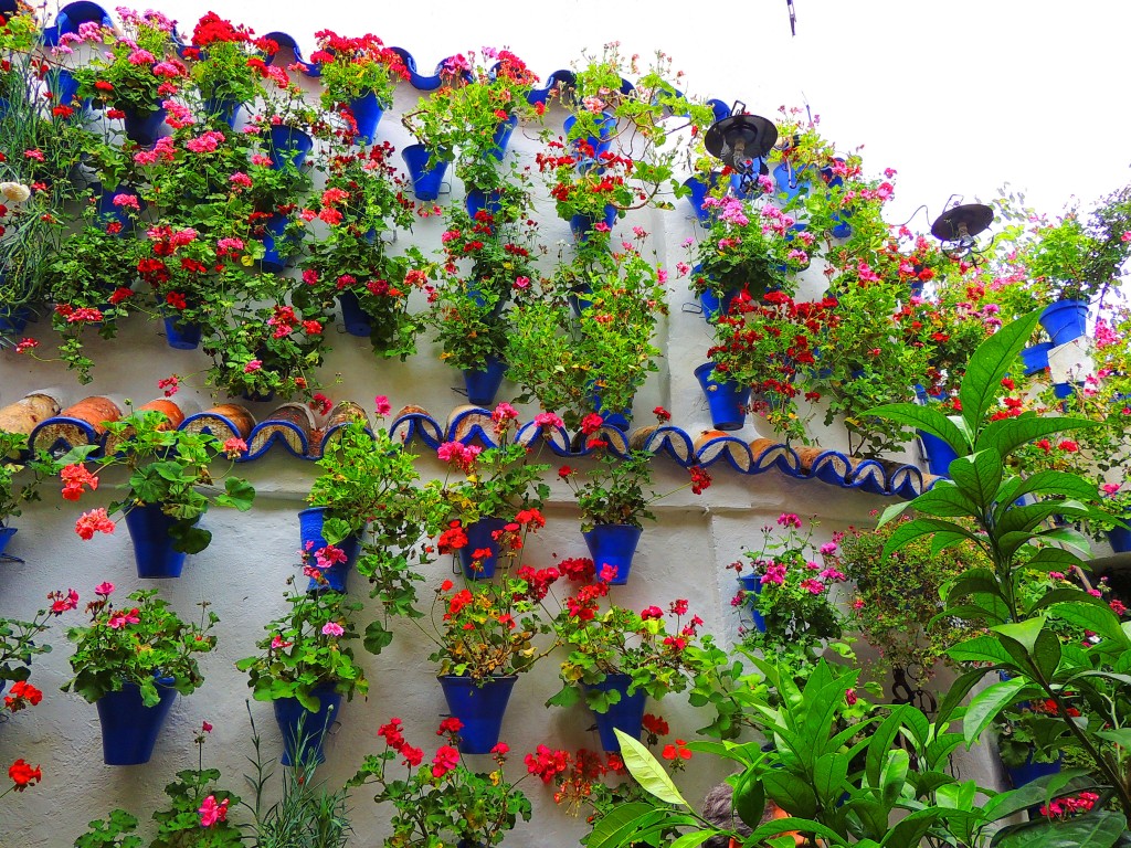 Foto de Córdoba (Andalucía), España