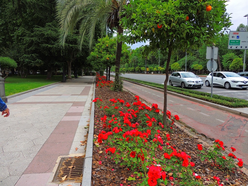 Foto de Córdoba (Andalucía), España