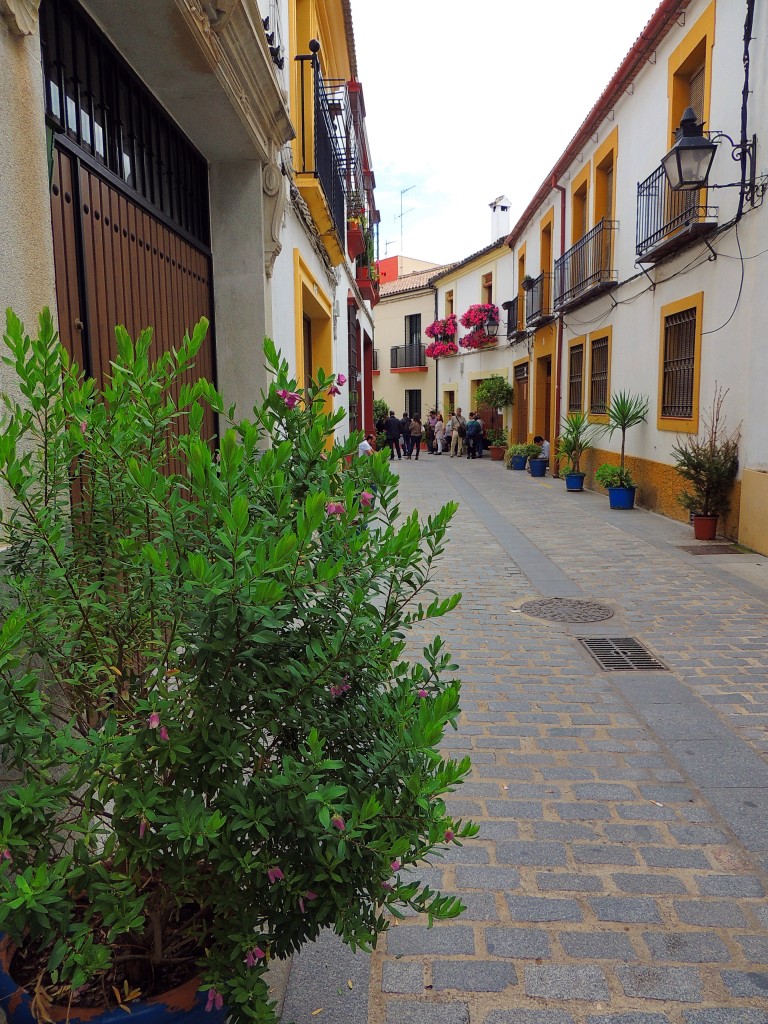 Foto de Córdoba (Andalucía), España