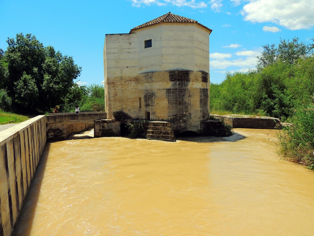 Foto de Córdoba (Andalucía), España