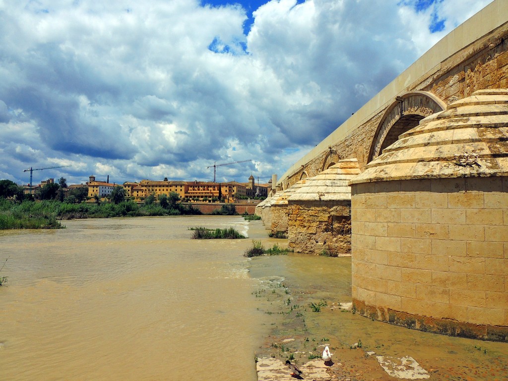 Foto de Córdoba (Andalucía), España