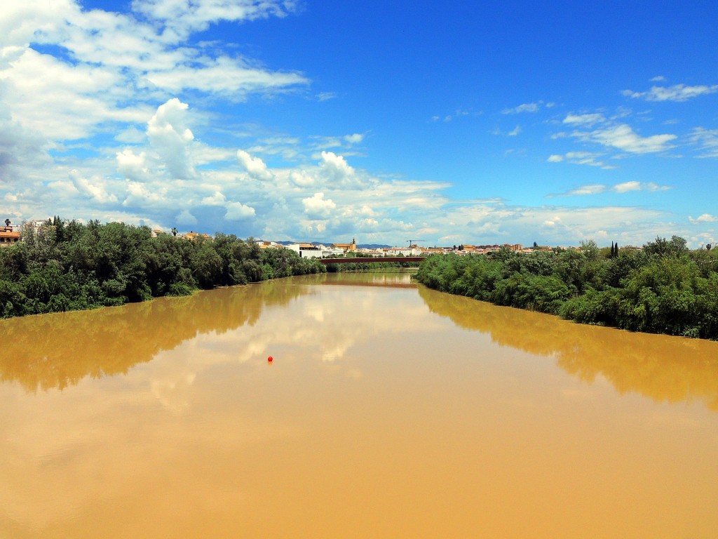 Foto de Córdoba (Andalucía), España