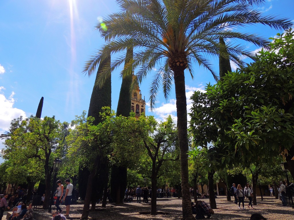 Foto de Córdoba (Andalucía), España