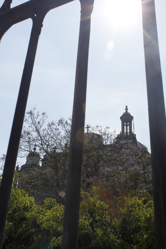 Foto: Catedral entre rejas - Ciudad México (México), México