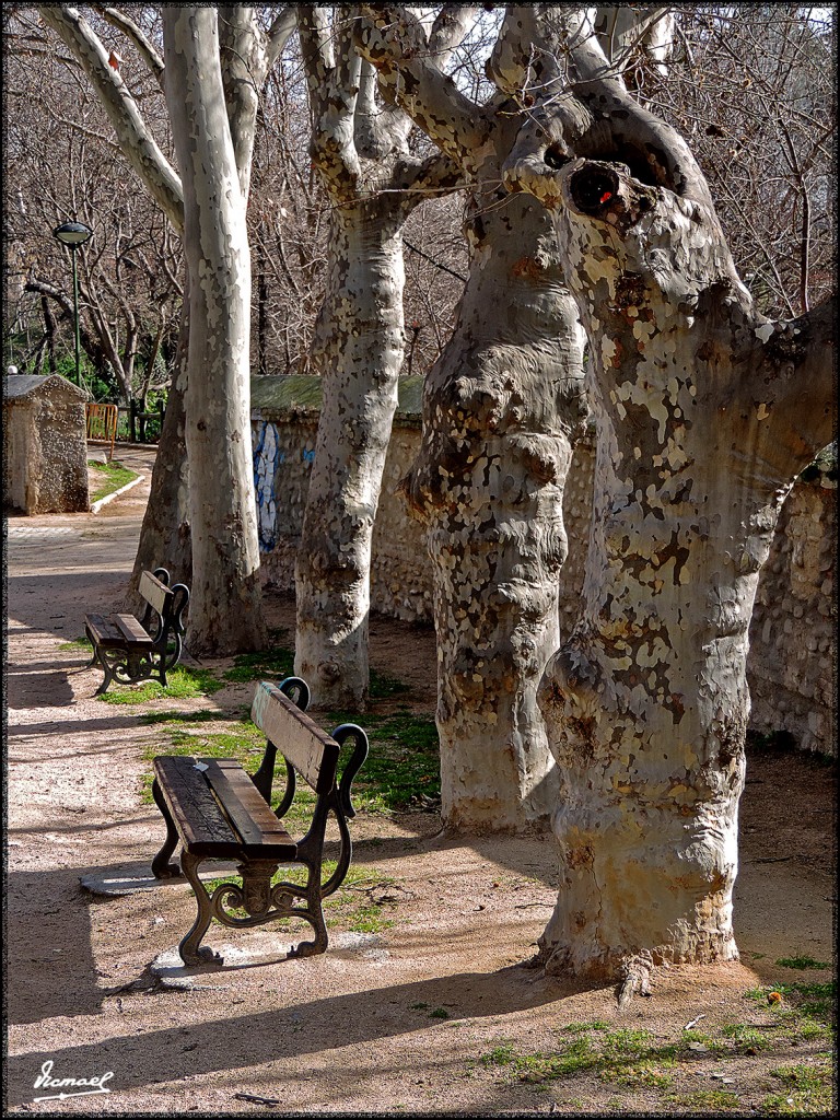 Foto: 160221-16 ZARAGOZA HUERVA - Zaragoza (Aragón), España