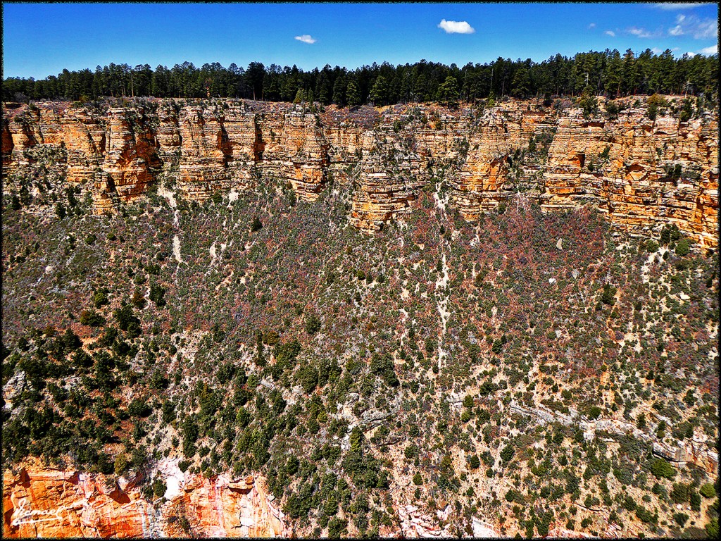 Foto: 160418-091 GRAN CAÑON - Gran Cañon (Arizona), Estados Unidos