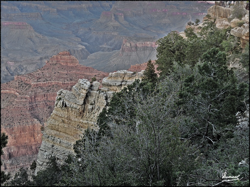 Foto: 160417-051 GRAN CAÑON - Gran Cañon (Arizona), Estados Unidos