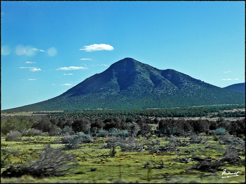 Foto: 160417-014 CAMINO GRAN CAÑON - Gran Cañon (Arizona), Estados Unidos