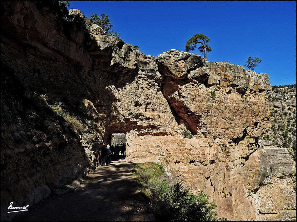 Foto: 160418-027 GRAN CAÑON - Gran Cañon (Arizona), Estados Unidos