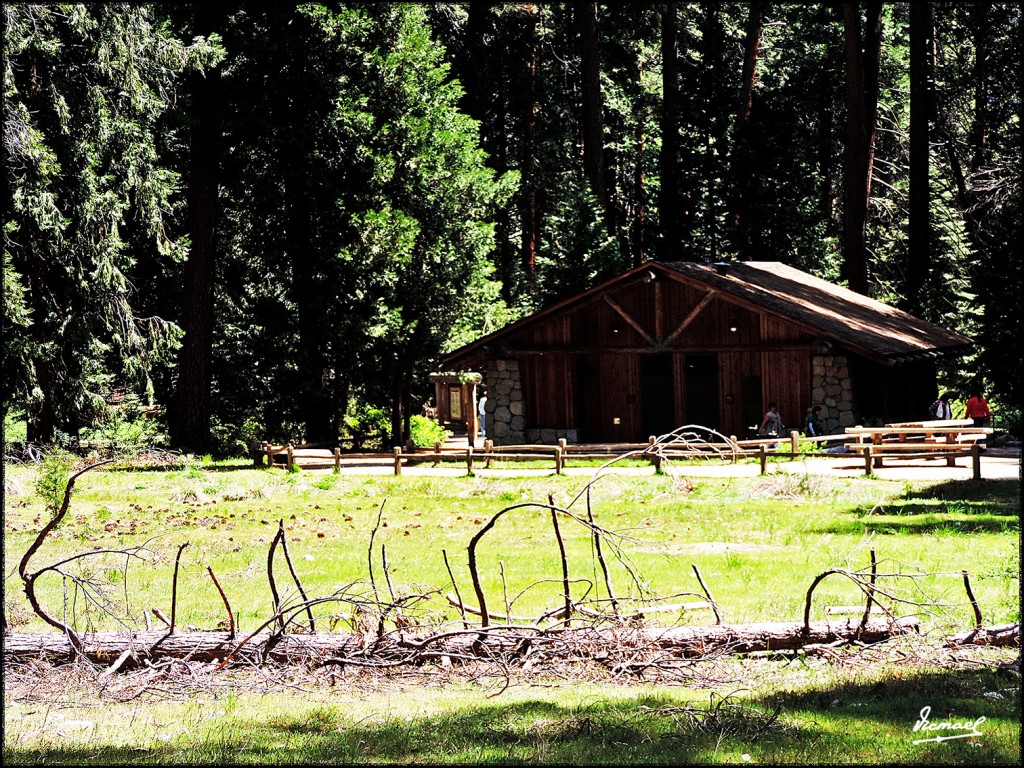 Foto: 160421-079 YOSEMITE - Yosemite (California), Estados Unidos