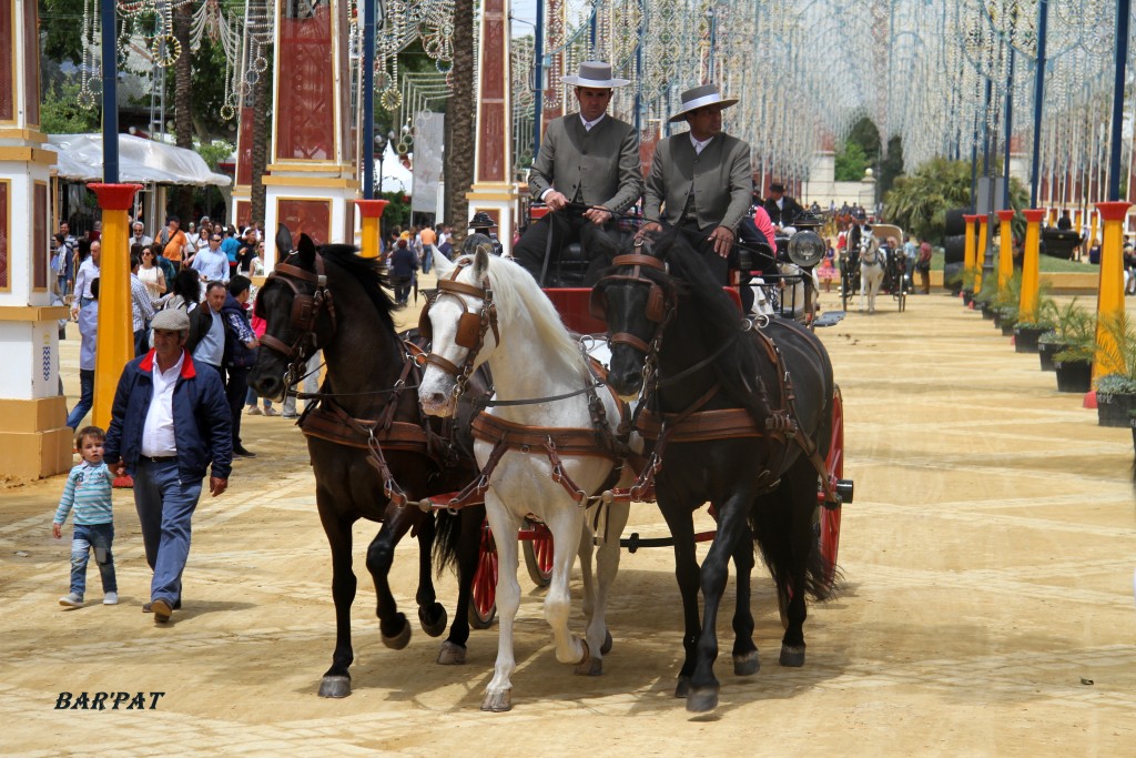 Foto de Jerez de la Frontera (Cádiz), España