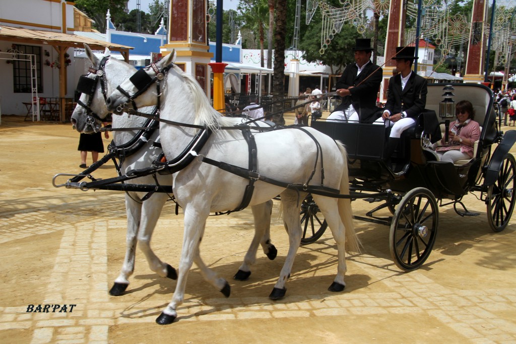 Foto de Jerez de la Frontera (Cádiz), España