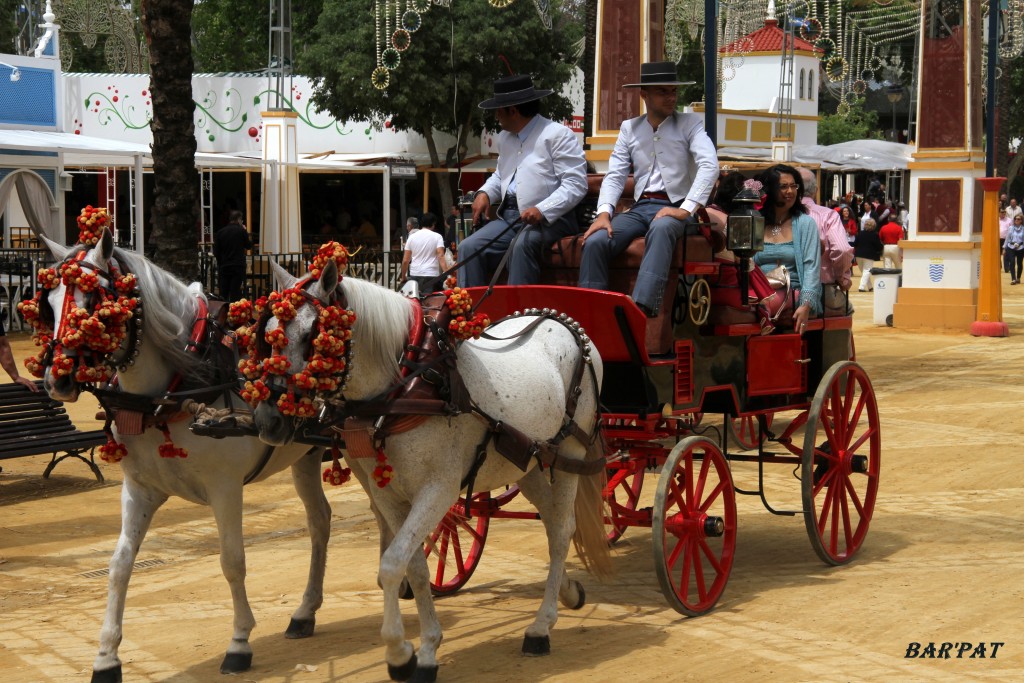 Foto de Jerez de la Frontera (Cádiz), España