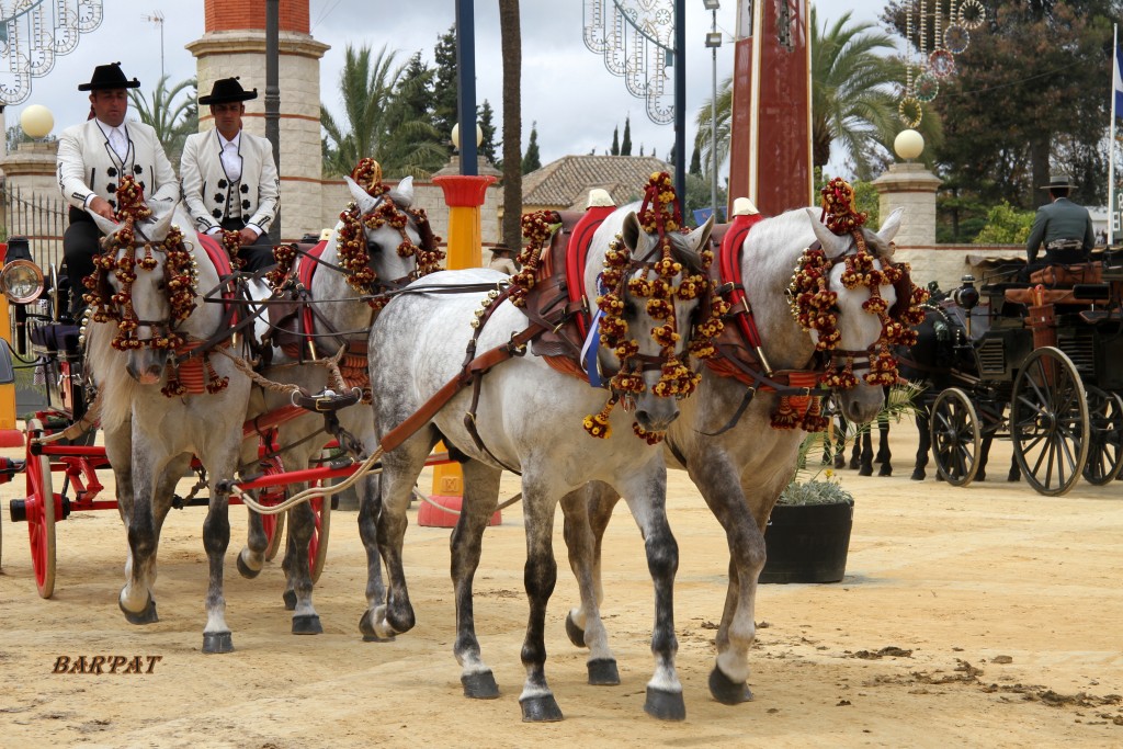 Foto de Jerez de la Frontera (Cádiz), España