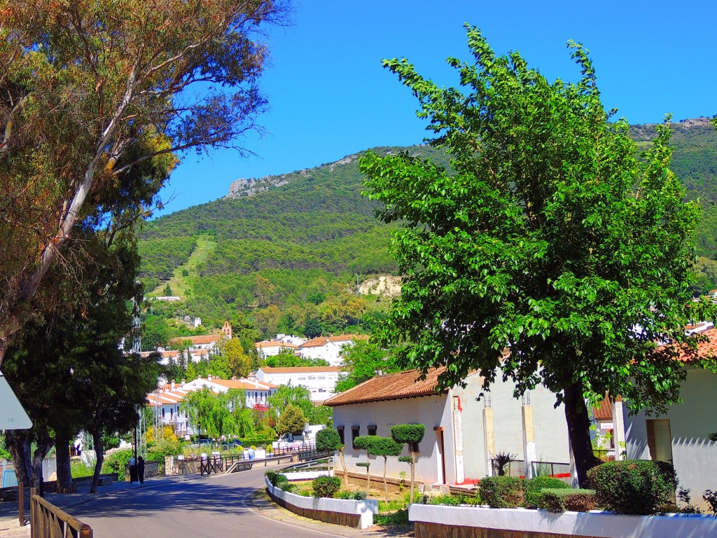 Foto de El Bosque (Cádiz), España