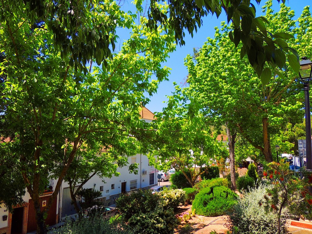 Foto de El Bosque (Cádiz), España