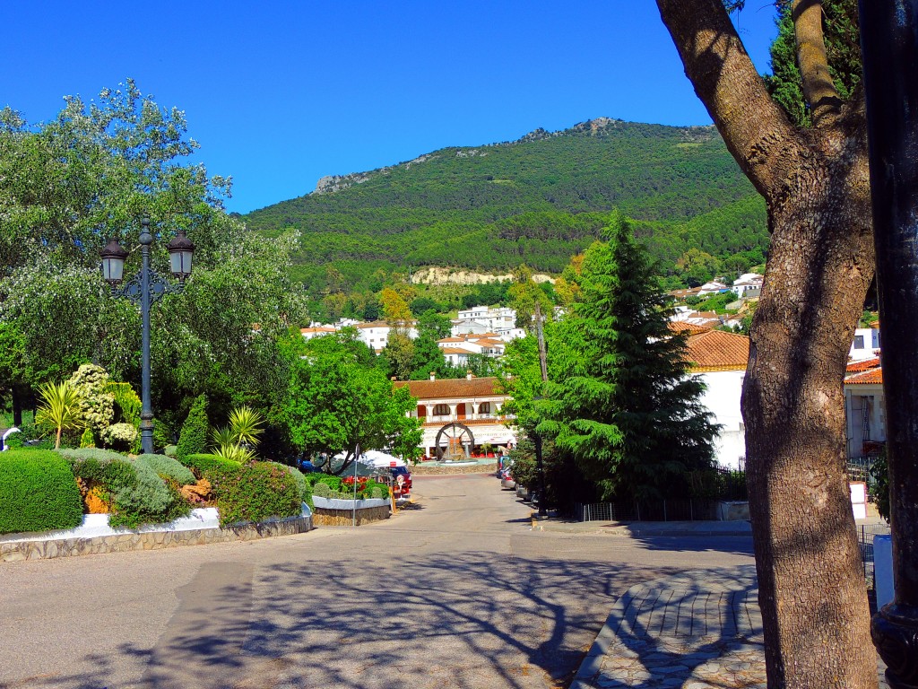 Foto de El Bosque (Cádiz), España