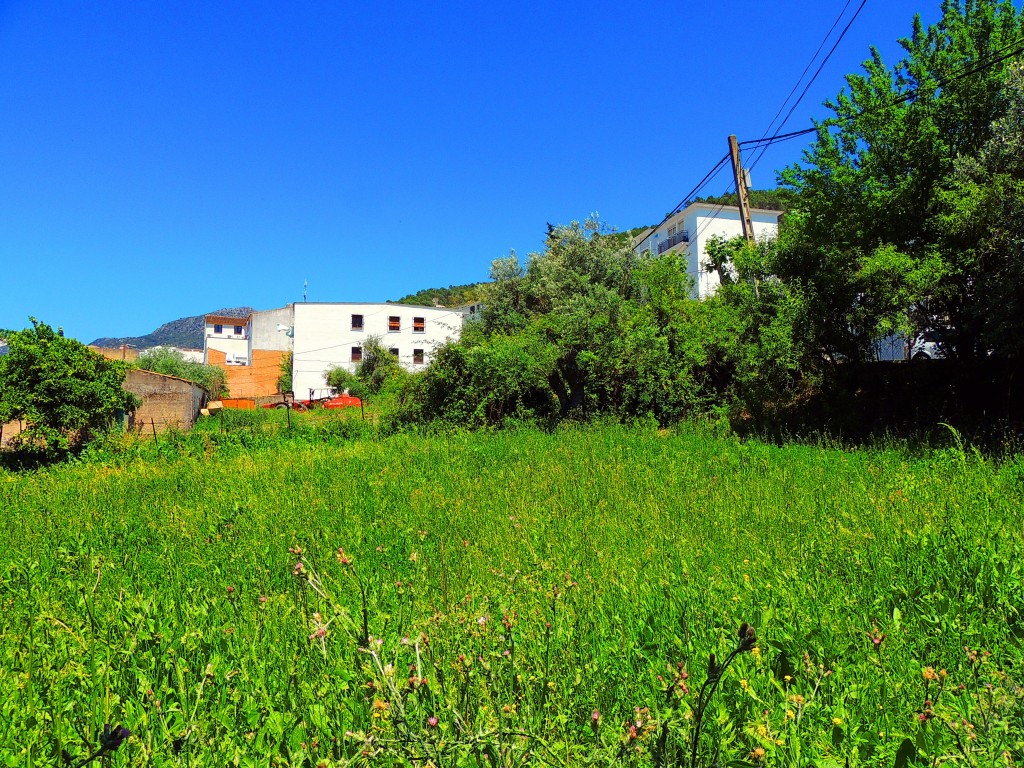 Foto de El Bosque (Cádiz), España