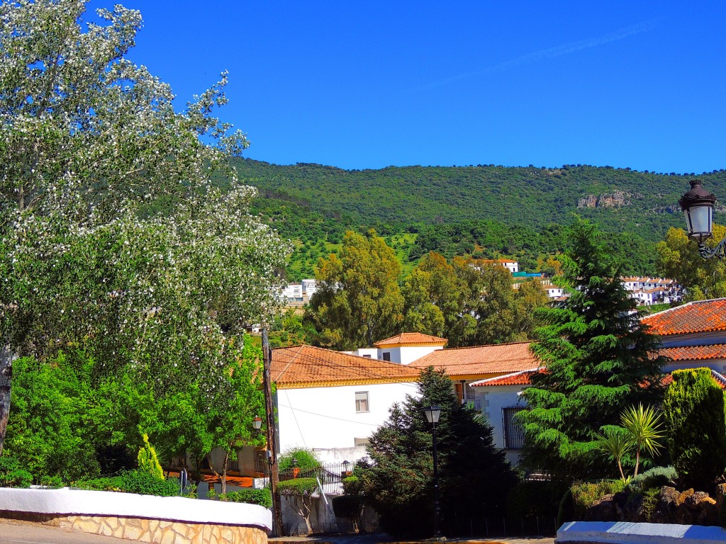 Foto de El Bosque (Cádiz), España