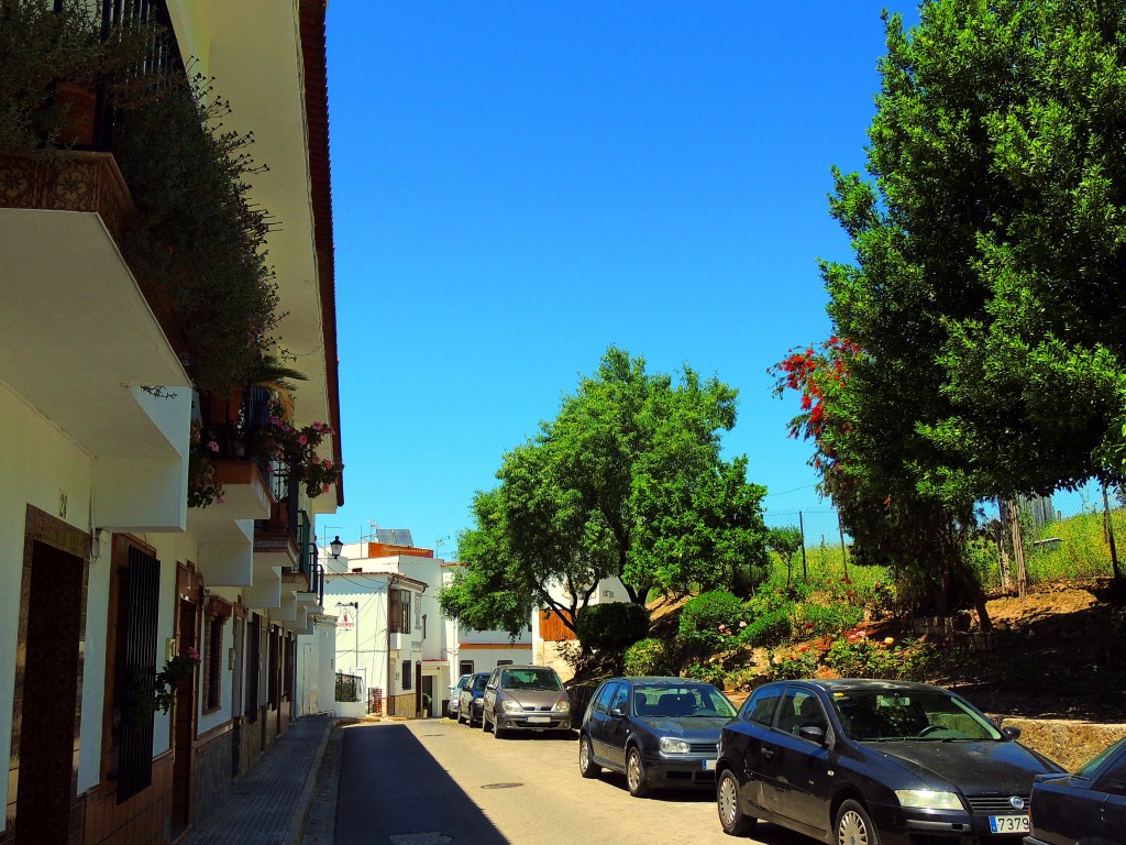 Foto de El Bosque (Cádiz), España