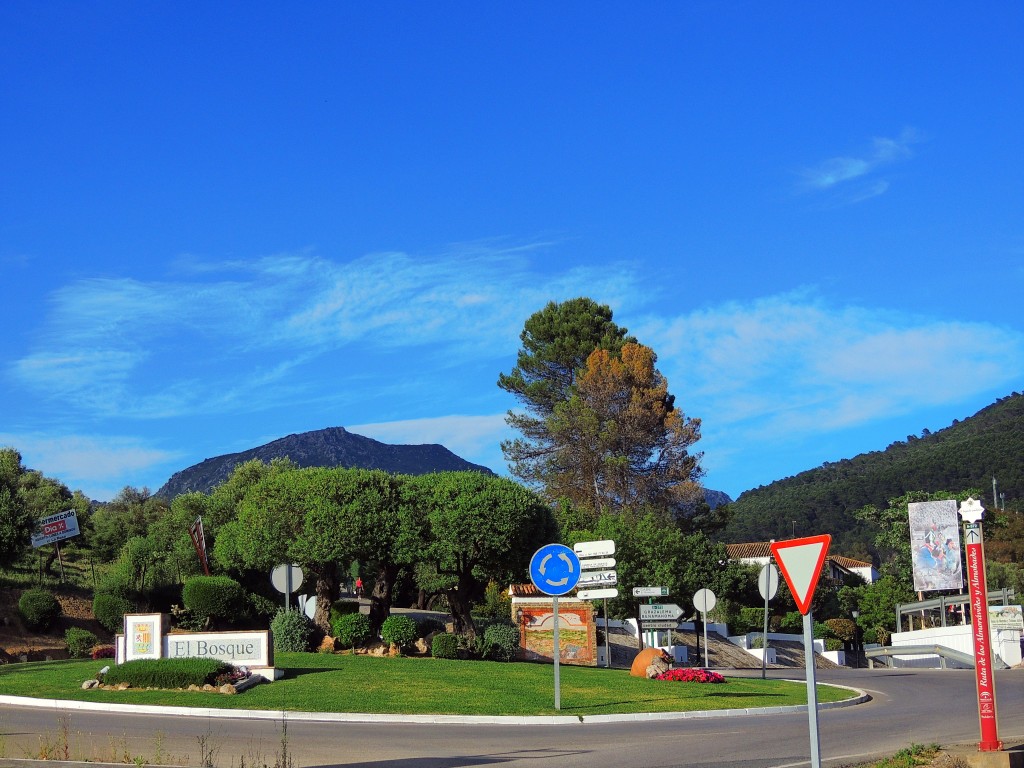 Foto de El Bosque (Cádiz), España