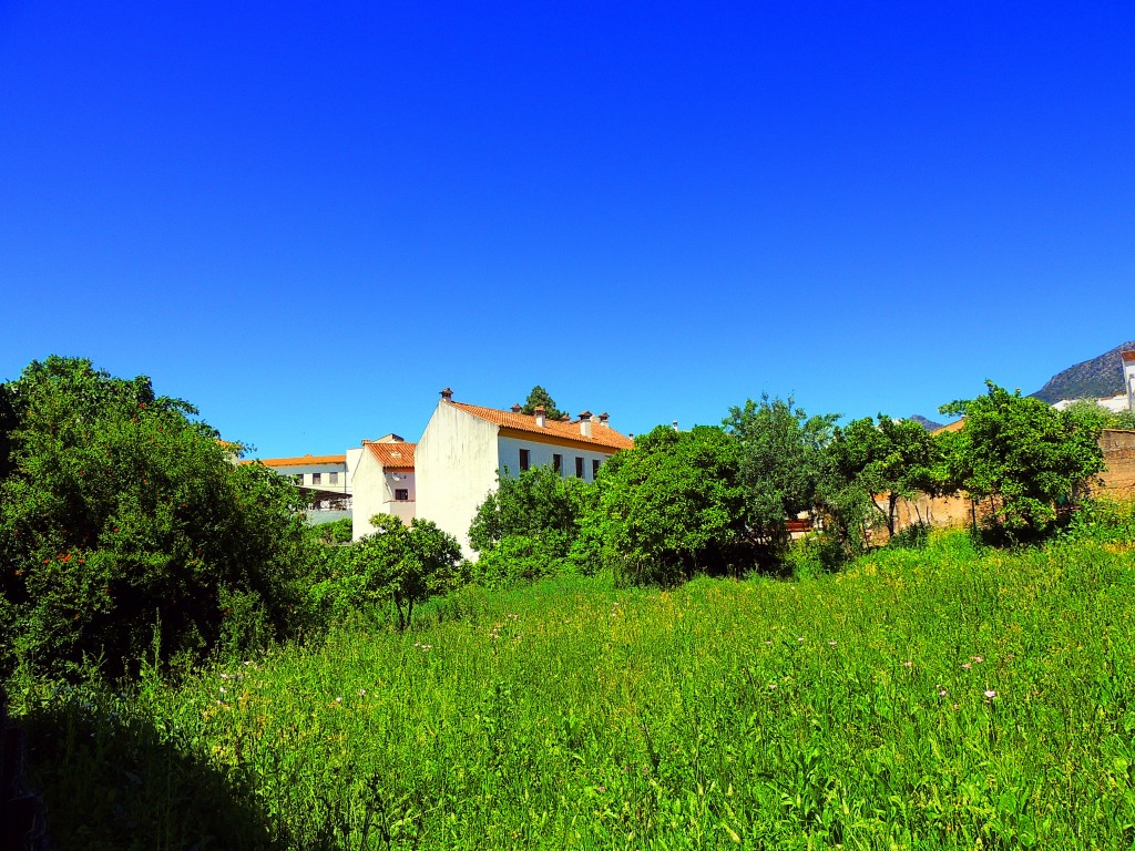 Foto de El Bosque (Cádiz), España