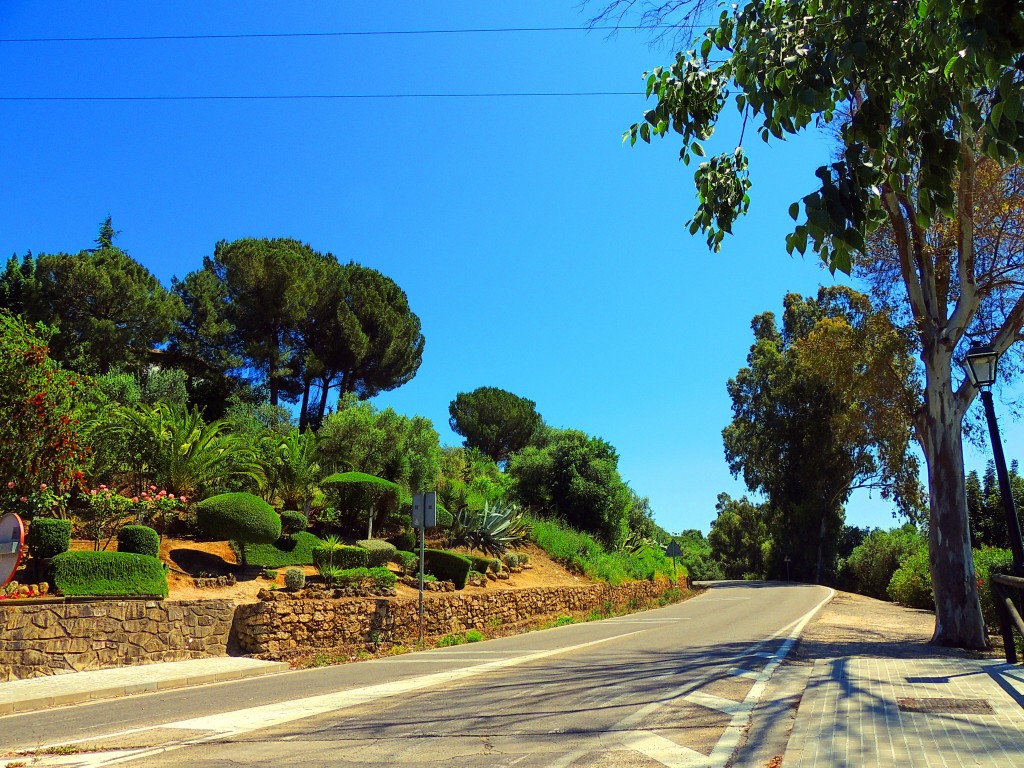 Foto de El Bosque (Cádiz), España