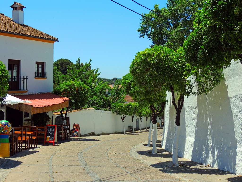 Foto de El Bosque (Cádiz), España