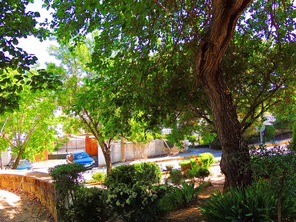 Foto de El Bosque (Cádiz), España